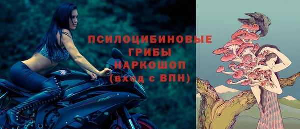 бошки Арсеньев