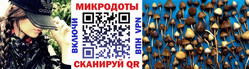 Галлюциногенные грибы GOLDEN TEACHER где продают Ленск